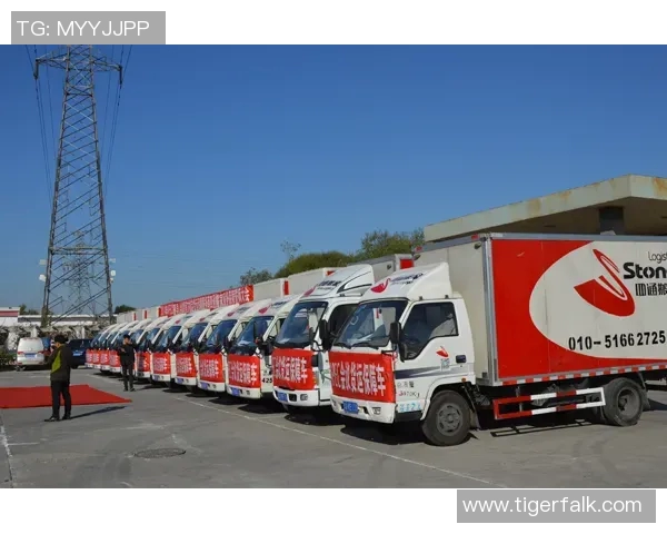 搬家全攻略:如何高效整理物品、选择搬家公司及节省搬家费用的实用技巧