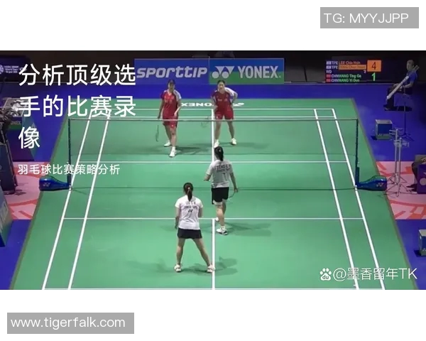 重庆羽毛球队个人能力分析与提升策略探讨