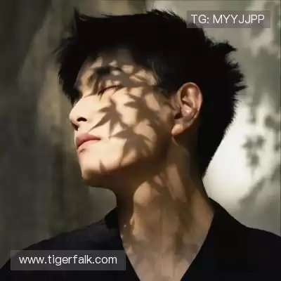 计辛畅